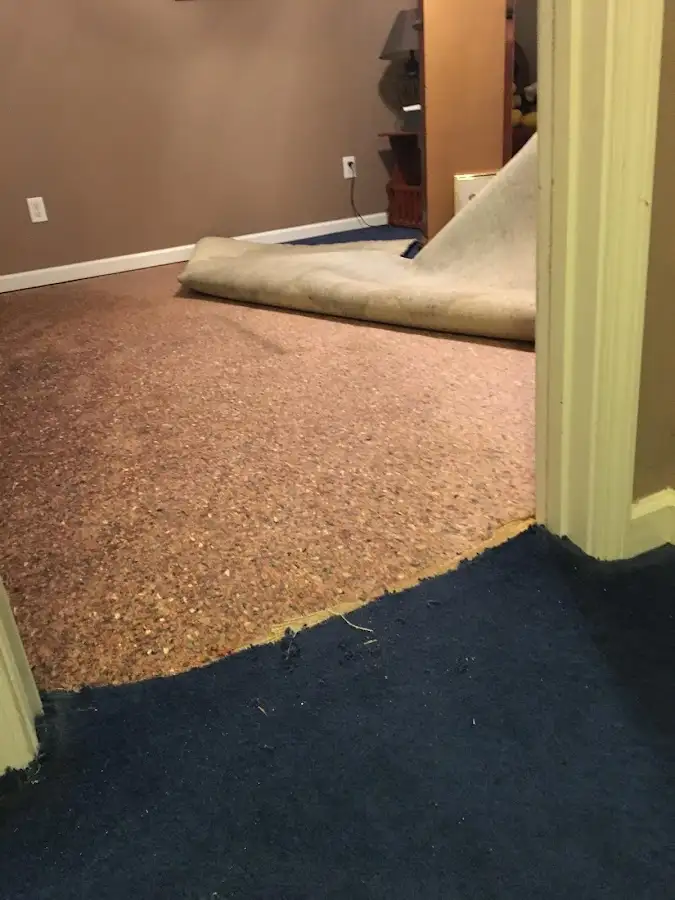 Carpet pad removal revealing water damage during Drying & Dehumidification in Hillsborough