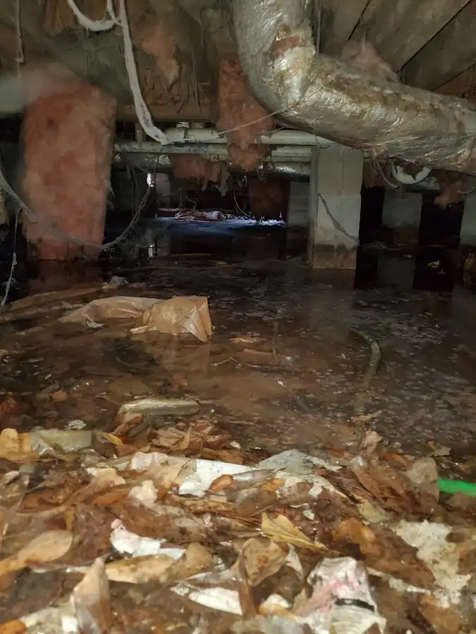 Crawl space flood assessment for Commercial Water Damage Restoration in Hillsborough